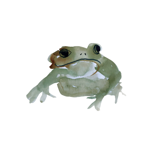 theater in de klas voorstelling kinderen kikker