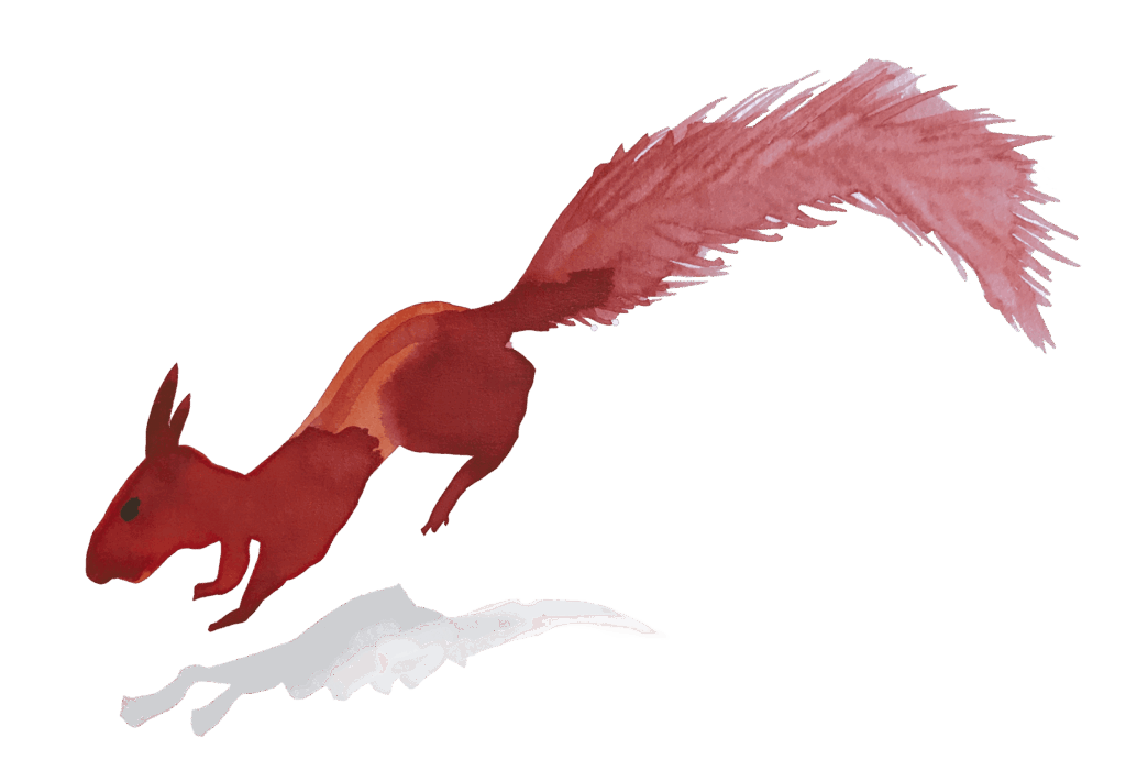 eekhoorn illustratie theater educatie kinderen voorstelling