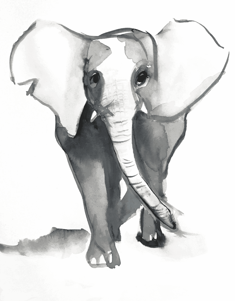 olifant Teunis theater in de klas voorstelling kinderen